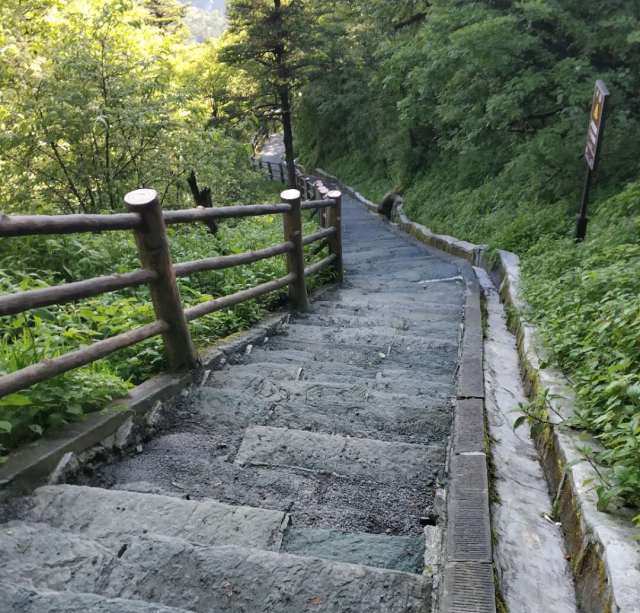 1530777909112304.jpg 1530777909112304.jpg