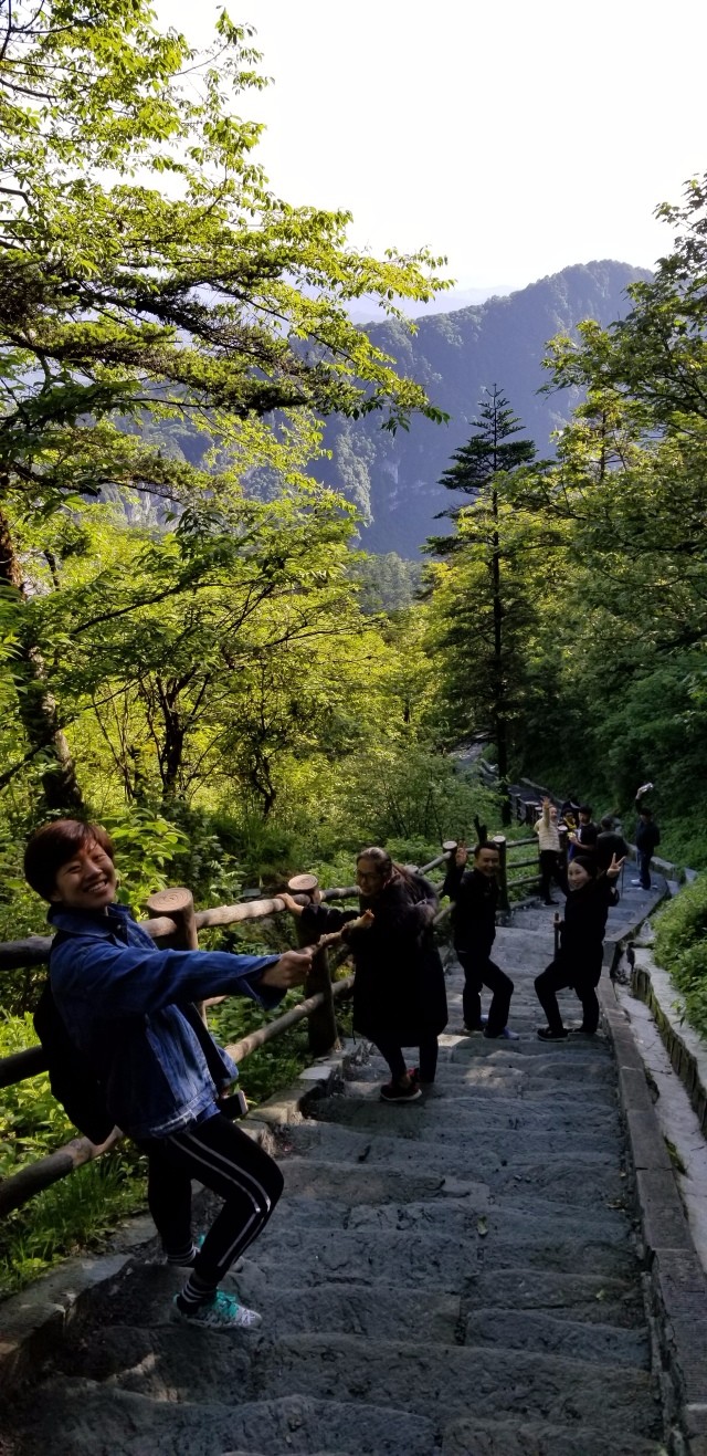 1530779038128217.jpg 33.jpg