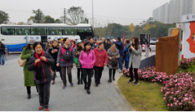 1543819408713036.jpg 1543819408713036.jpg